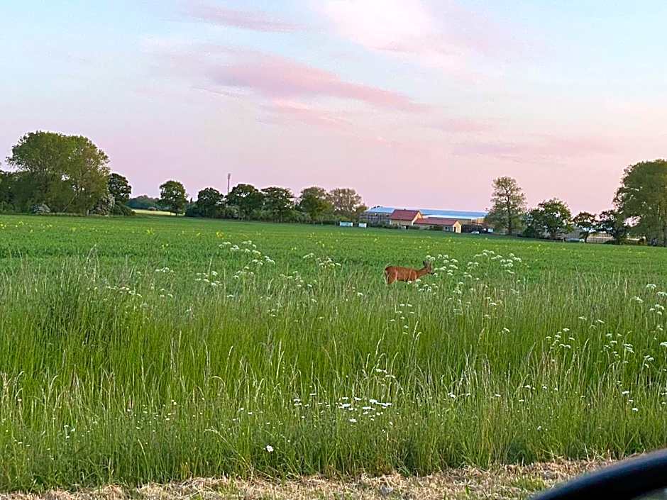 Gästehaus Windflüchter