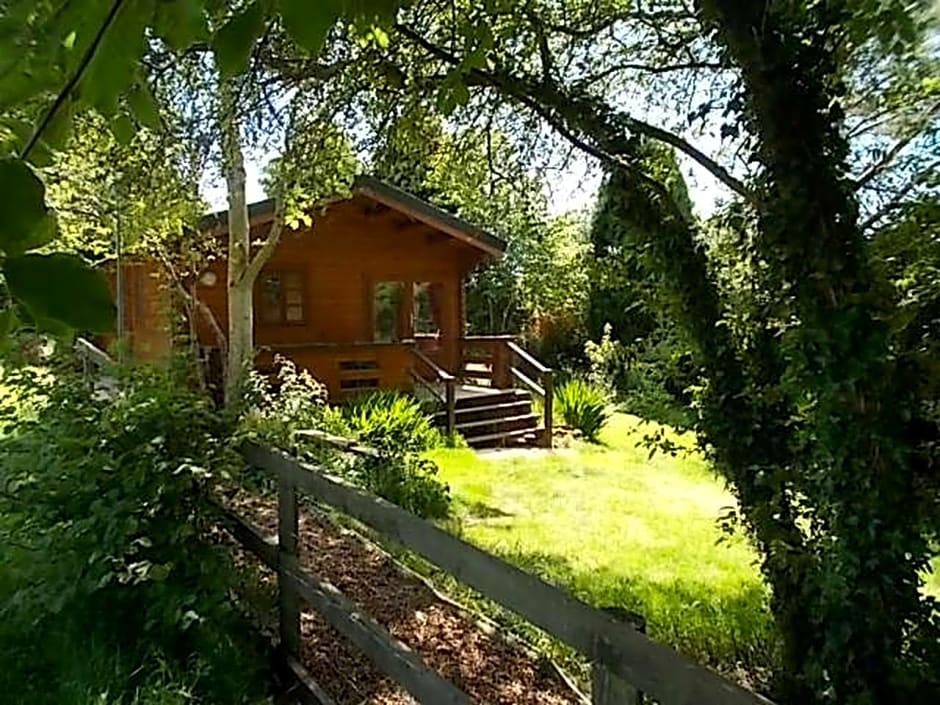Tudor Lodge with pool & BBQ cabin