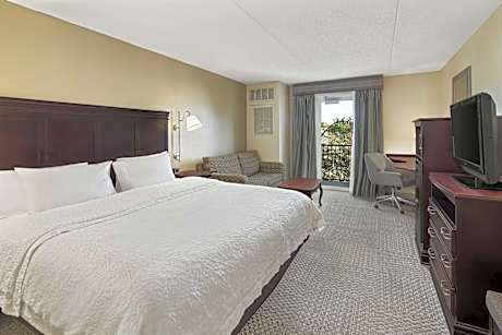 1 King W/Sofabed Small Balcony Nonsmoking