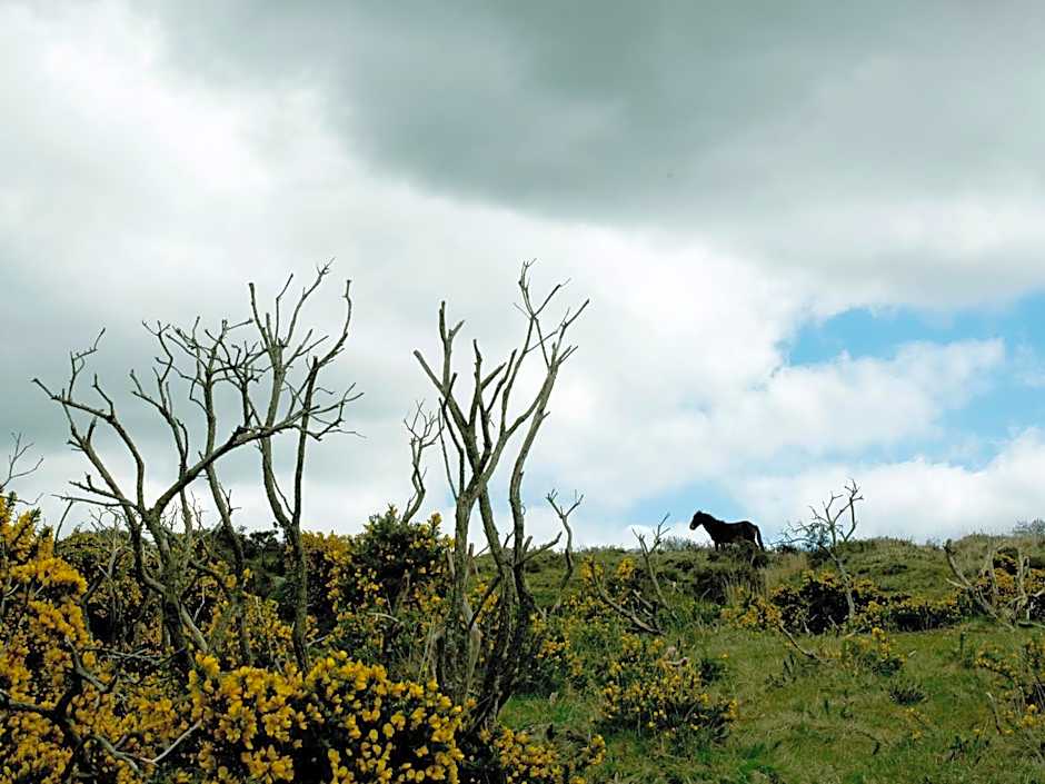 YHA Dartmoor