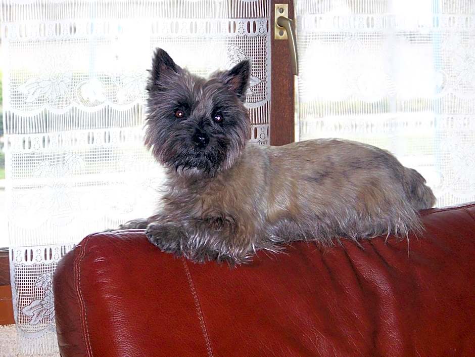 Hôtel restaurant les Templiers