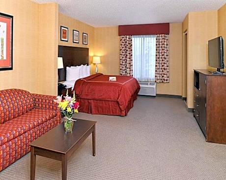 King Suite - Non-Smoking