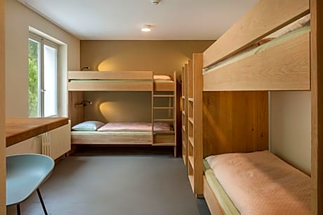 Bed in 6-Bed Mixed Dormitory Room with Shared Bathroom