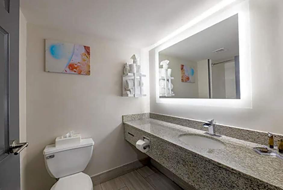 Wingate By Wyndham Atlanta Galleria Center