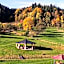 Otulina Park