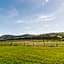 Lovane Boutique Wine Estate and Guesthouse