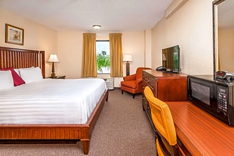 1 King Bed Non-Smoking