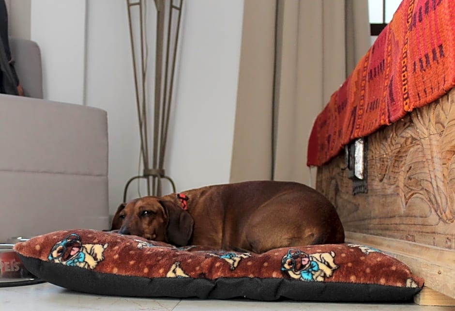 La Cochinilla Hotel Boutique
