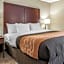 Comfort Inn Blue Ash North