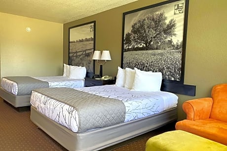 2 Queen Beds, Hearing/Mobility Accessible, Roll in Shower, Nonsmoking