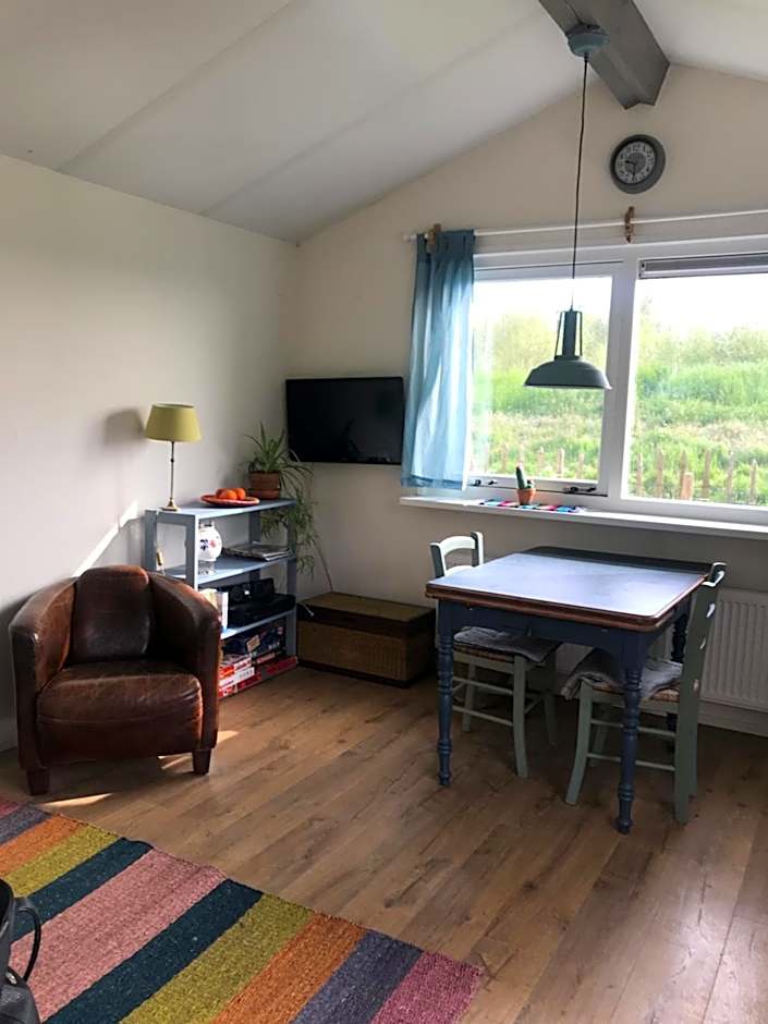 Rosa's zonnige huisje bij duinen bos en strand