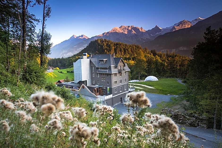 Apart Hotel Wetterhorn