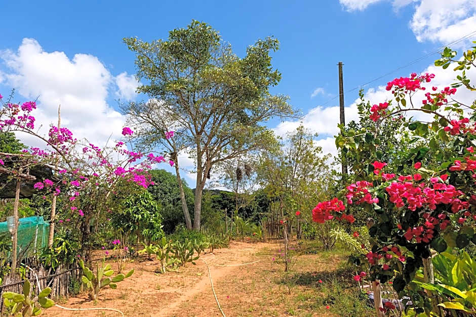 Chalé com Vista Privilegiada
