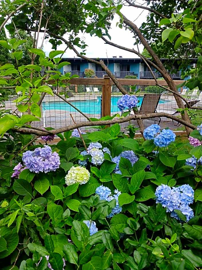 Hotel Vervana, Trademark Collection by Wyndham