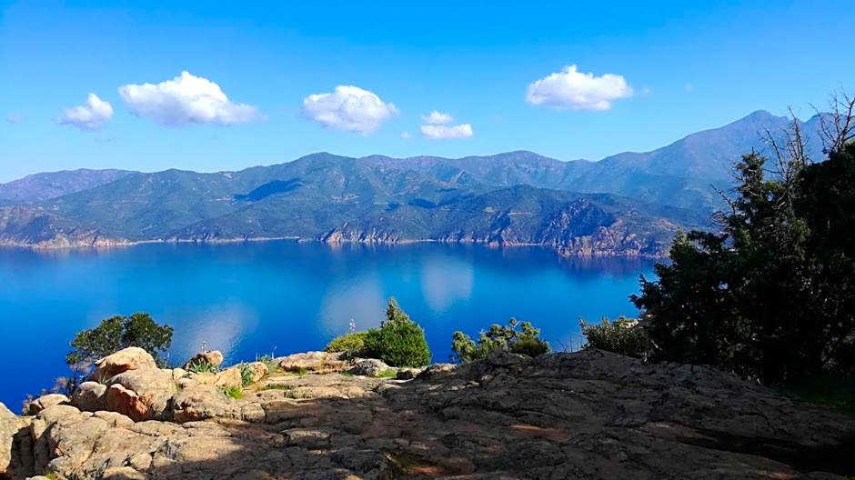 Hôtel Colombo- Porto Corse