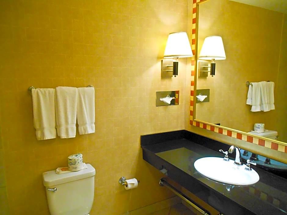 The Skyline Hotel New York
