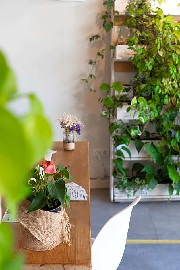 Dynamic Hotels Caldetes Barcelona