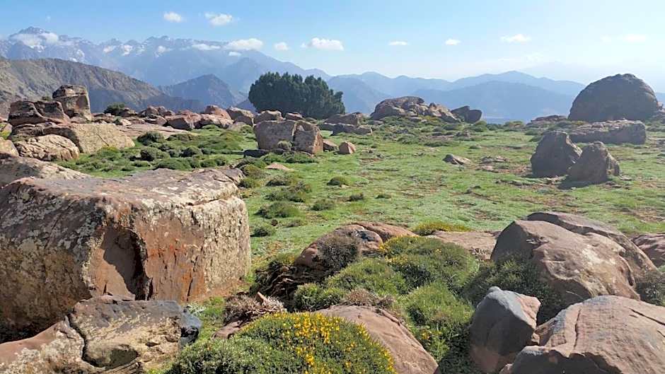 Issouganes N Toubkal Maison d hôtes