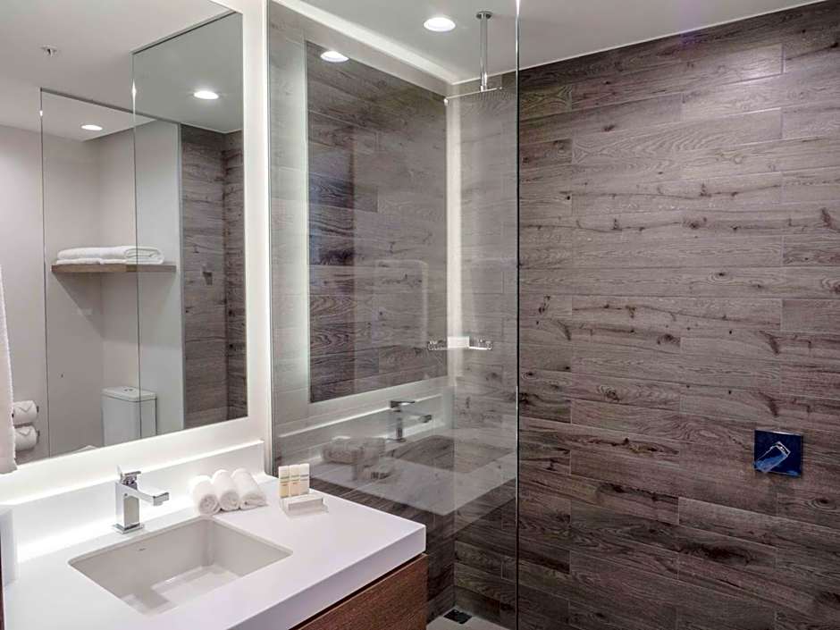 Hilton Garden Inn Santa Ana San Jose