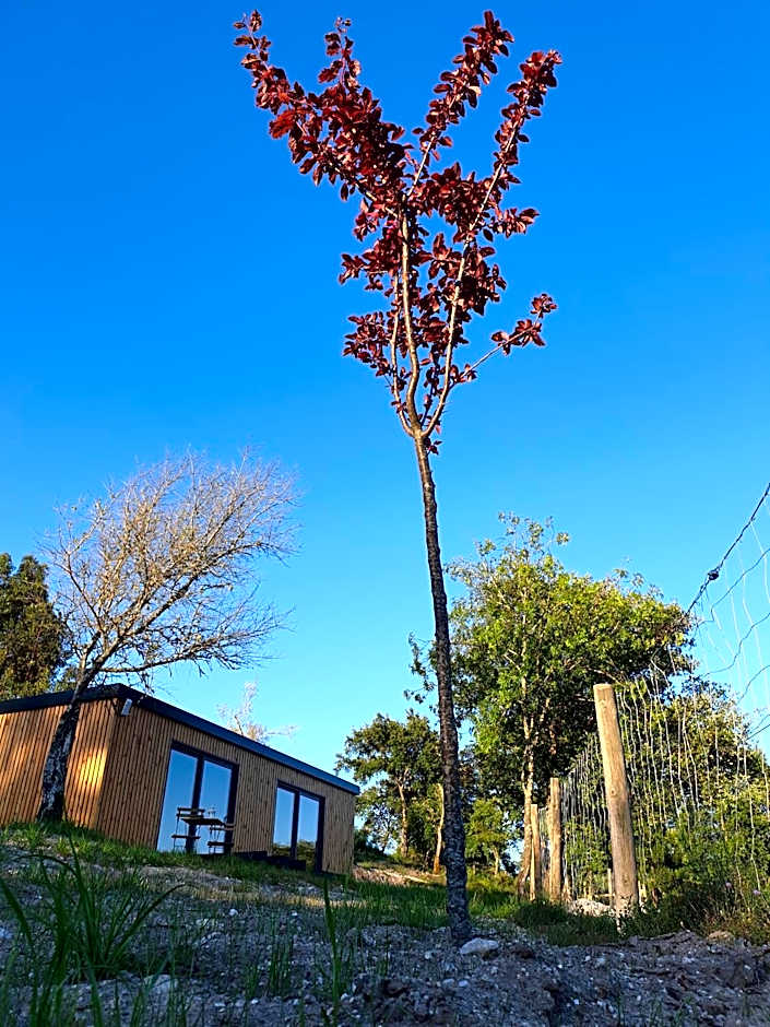 Casa d' Além Turismo e Natureza - Refúgio do Valouto
