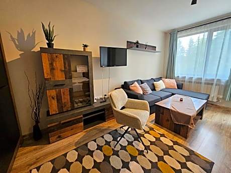 Studio with Terrace