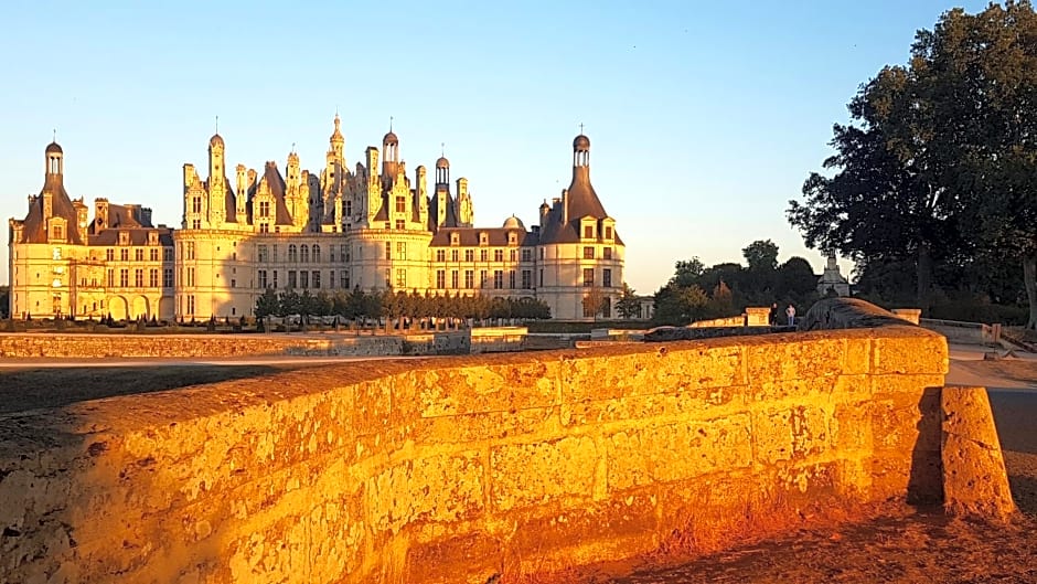 Chambre d'hôte Montlivault / Chambord