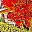 VILLA ORCHARD Frankfurt - Trade Fair Airport