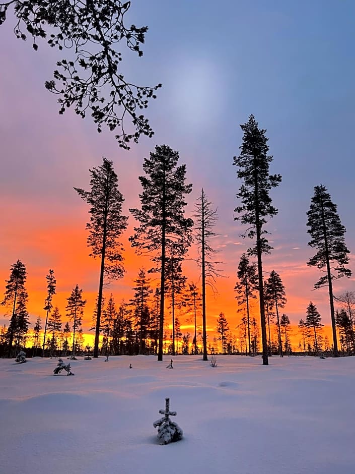 Skyfire Village Igloos