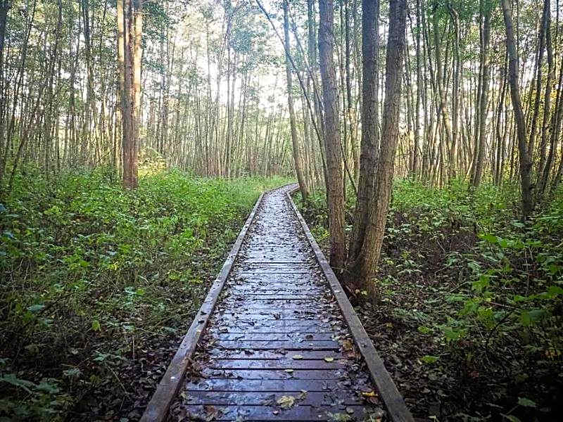Nordsjællands Ferieboliger