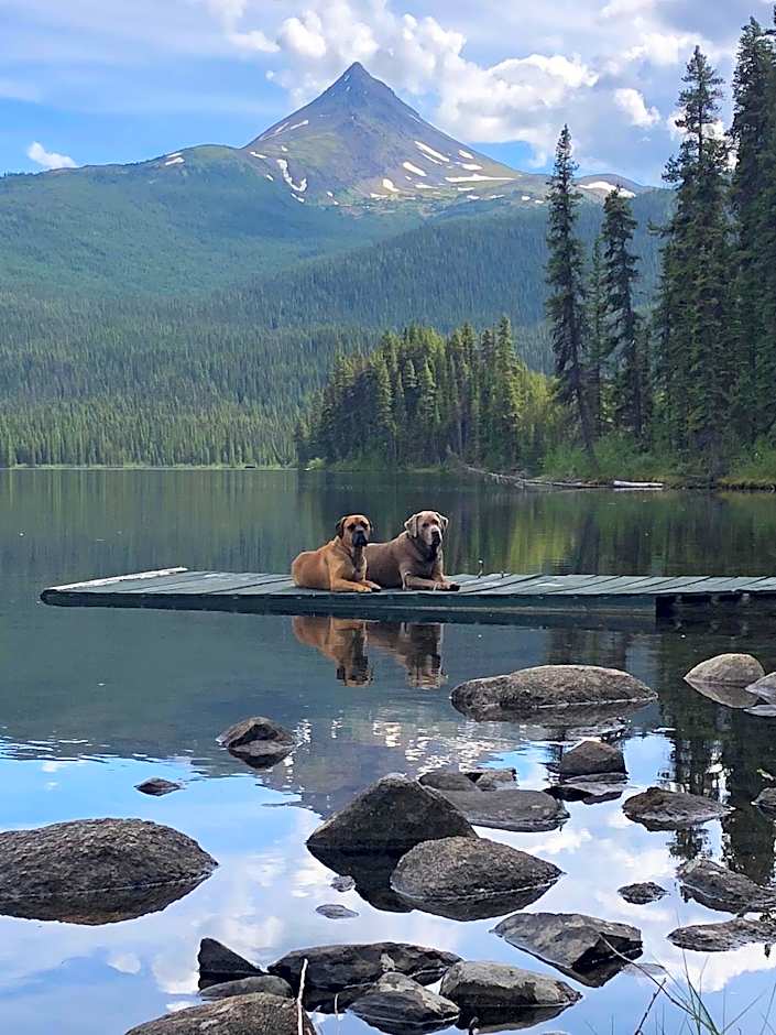 Vines and Puppies Hideaway
