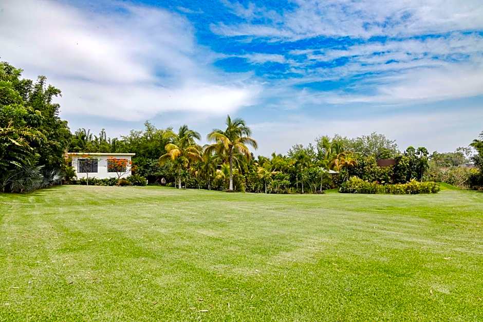 Soul Spring Sanctuary Cuernavaca