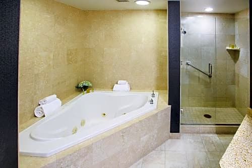 DoubleTree Rochester - Mayo Clinic Area – Rochester, MN