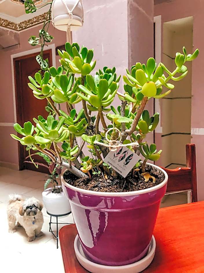 Cuartel 1914 - Hotel Boutique