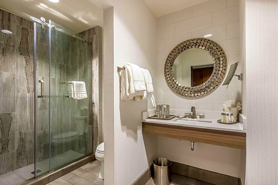 Hotel Napoleon, Ascend Hotel Collection