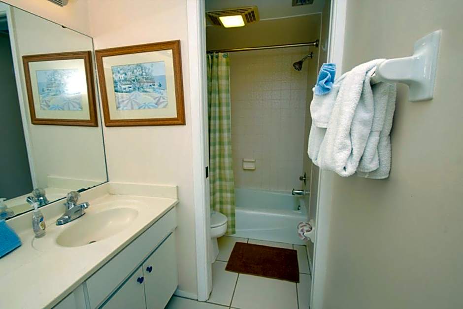 Anna Maria Island Beach Palms 6B