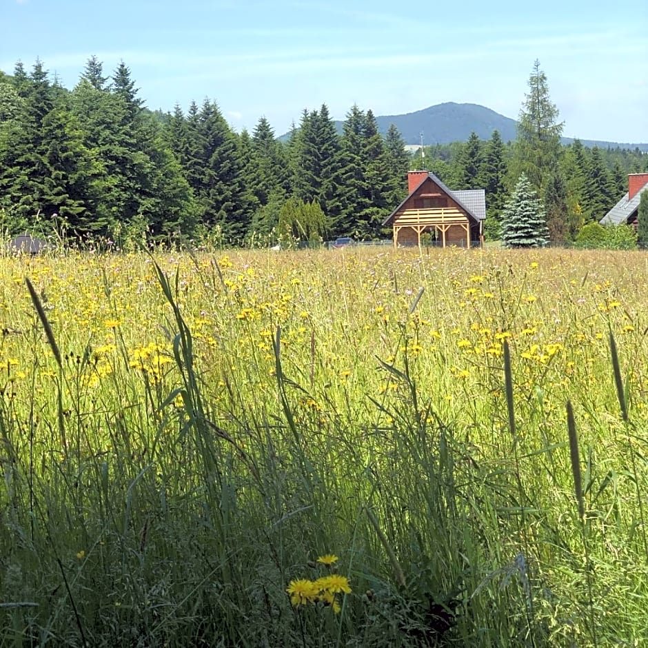 Klimkowskie Zacisze - domek całoroczny