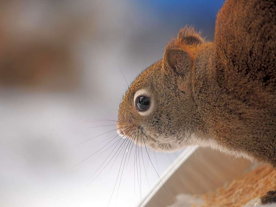 Our Valley View Bed & Breakfast