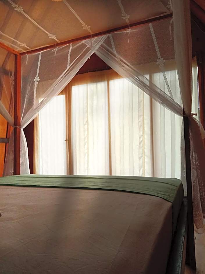 Jungle House - surf & stay