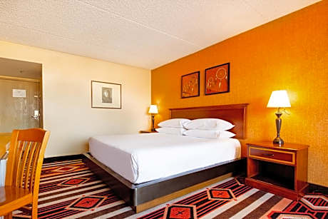 Traditional King Room