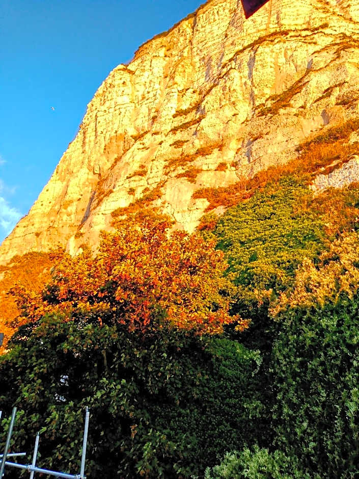 First and Last Youth Hostel