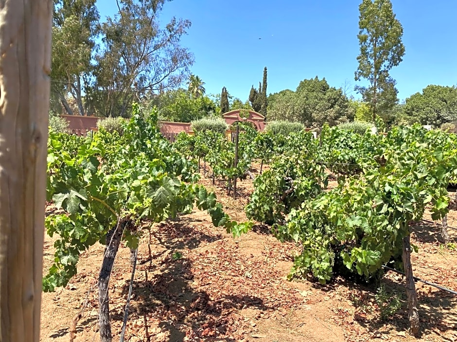 Tierra Mia Hacienda Ruta del Vino