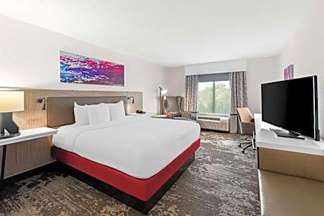 1 King Bed