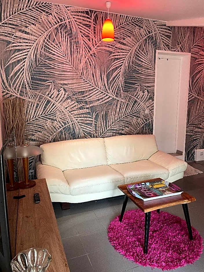 gîtes Studio de tourisme du Domaine Piscine Spa Balnéo