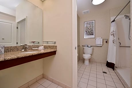 Suite, 1 Double Bed