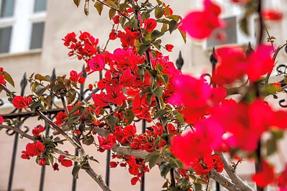 Archontiko Eleni Hotel