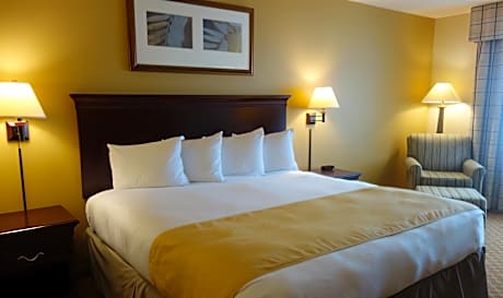 1 King Bed, Nonsmoking, Accessible