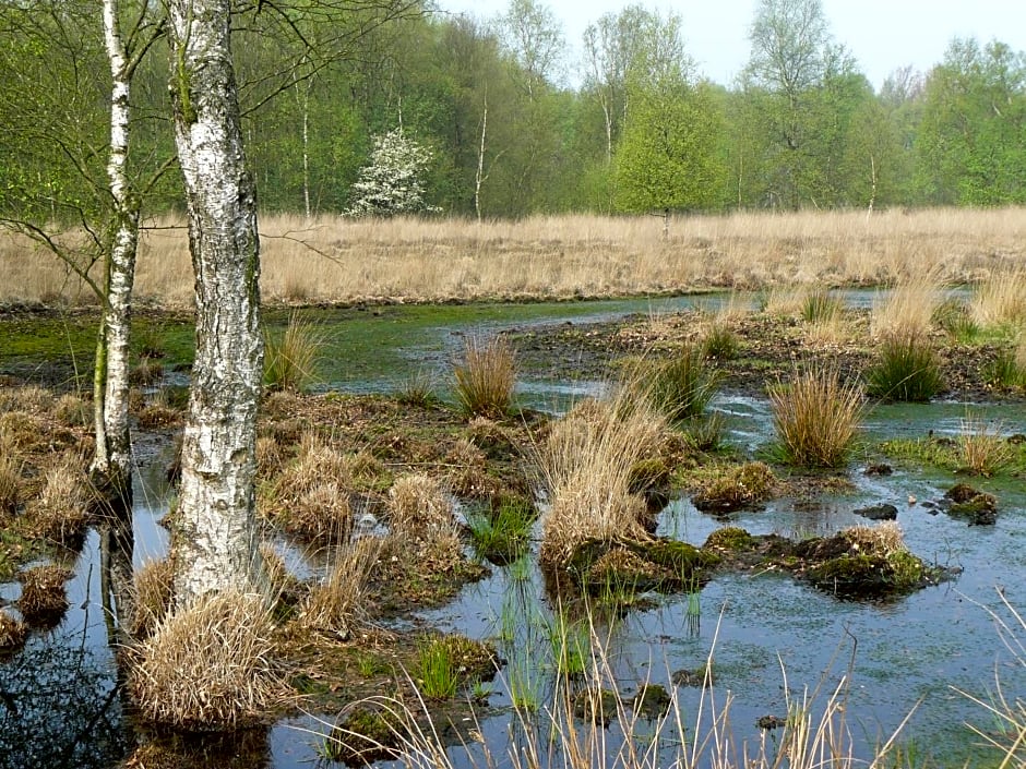 Stichting Veenloopcentrum Weiteveen