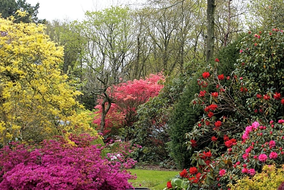 La Canopée des Pins