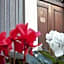 Cataneasy Rooms