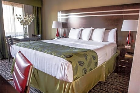 Standard King Room
